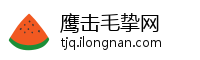 鹰击毛挚网